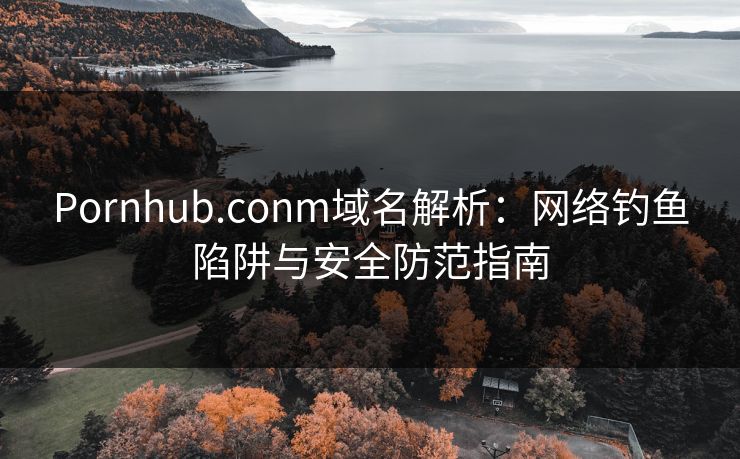 Pornhub.conm域名解析：网络钓鱼陷阱与安全防范指南  第1张