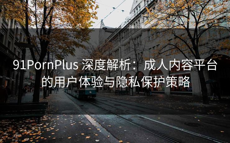 91PornPlus 深度解析：成人内容平台的用户体验与隐私保护策略