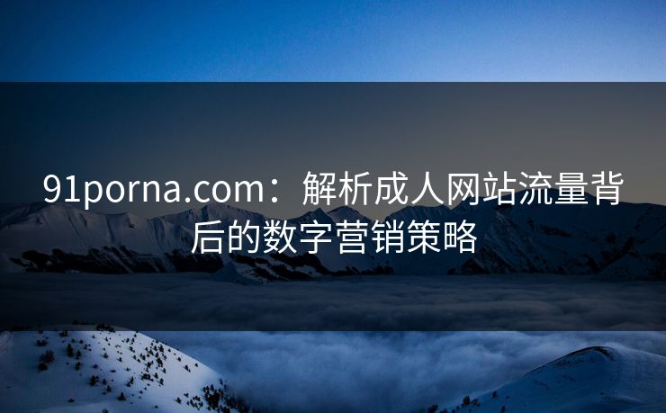 91porna.com:解析成人网站流量背后的数字营销策略 第1张 91porna.com:解析成人网站流量背后的数字营销策略 第1张