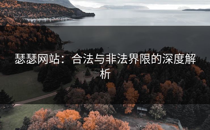 瑟瑟网站：合法与非法界限的深度解析  第1张