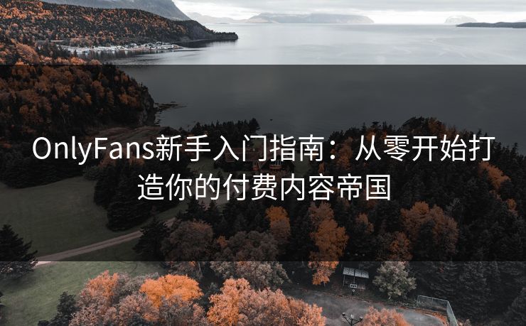 OnlyFans新手入门指南：从零开始打造你的付费内容帝国  第1张
