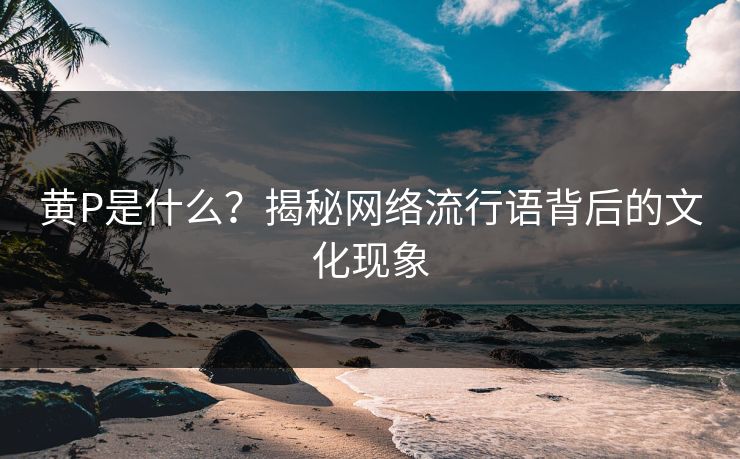 黄P是什么？揭秘网络流行语背后的文化现象  第1张
