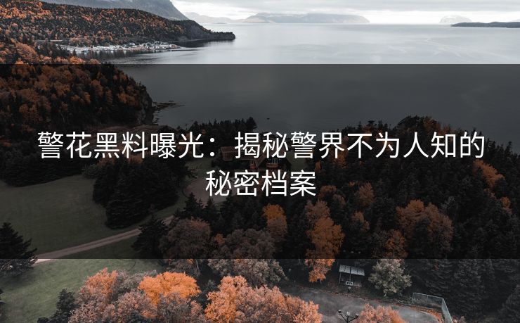 警花黑料曝光：揭秘警界不为人知的秘密档案