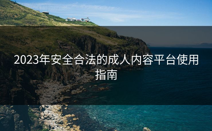 2023年安全合法的成人内容平台使用指南  第1张