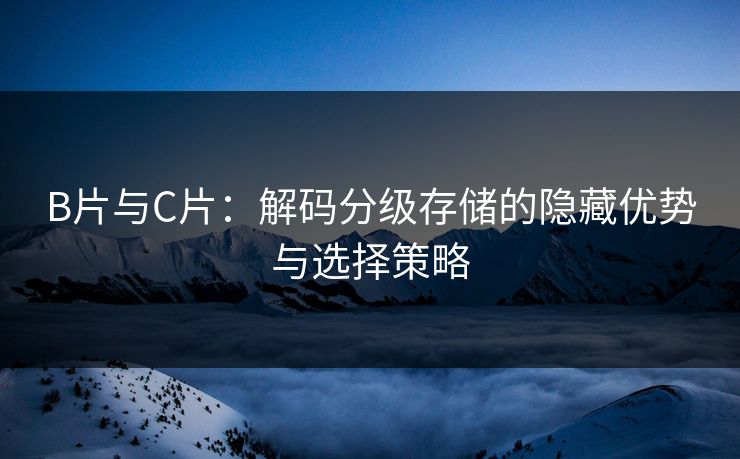 B片与C片：解码分级存储的隐藏优势与选择策略  第1张