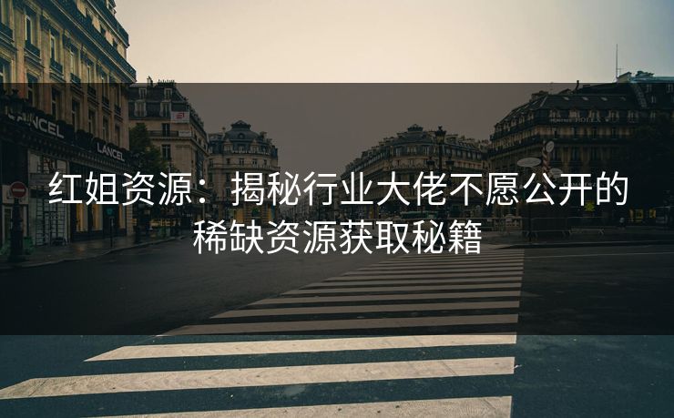 红姐资源：揭秘行业大佬不愿公开的稀缺资源获取秘籍  第1张